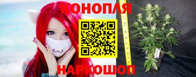 сатива Берёзовский