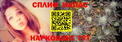 тгк Гусь-Хрустальный