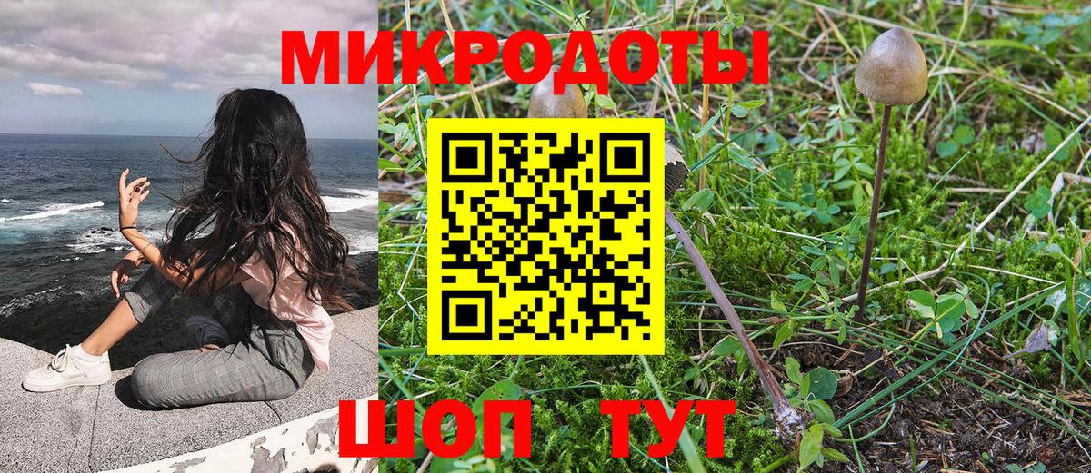Галлюциногенные грибы прущие грибы Йошкар-Ола