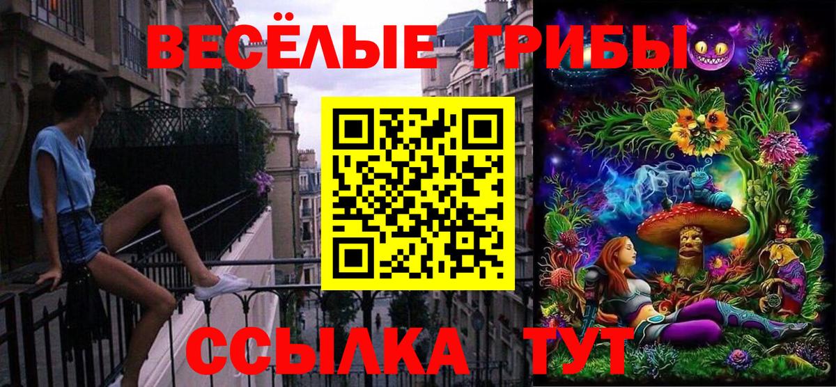 Йошкар-Ола  Псилоцибиновые грибы MAGIC MUSHROOMS  Псилоцибиновые грибы GOLDEN TEACHER  Вход с VPN 