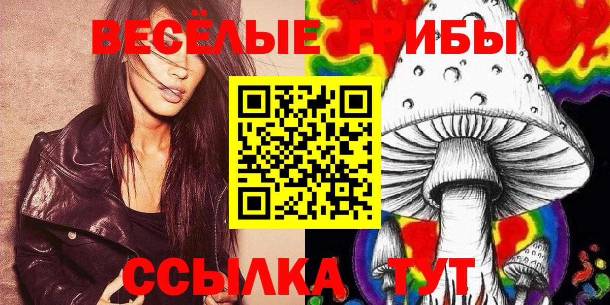 Псилоцибиновые грибы Magic Shrooms  Йошкар-Ола  Псилоцибиновые грибы прущие грибы 